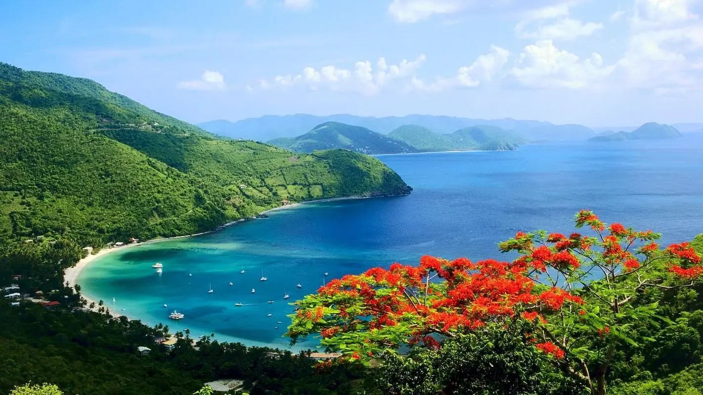 高性能自动化