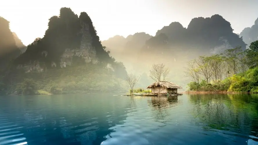 绿色全自动高效